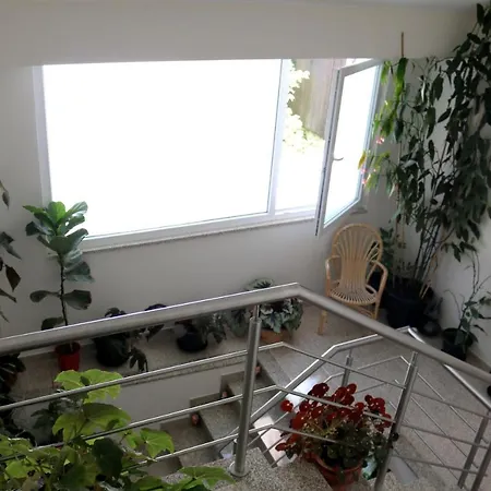 펜션 Charming House In + Terrace